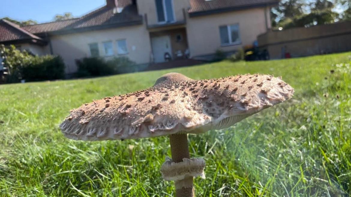 Kopice " Kowalczyk Hotel Residences In Nature Parks " Goleniów Dış mekan fotoğraf